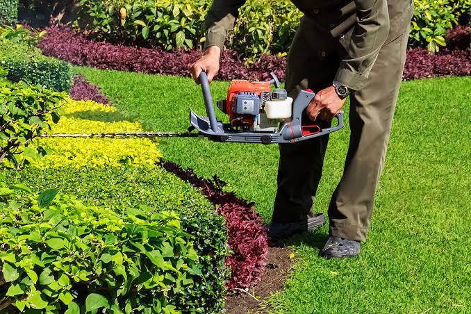 Seasonal Yard Debris & Leaf Cleanup