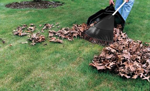 Property Perimeter Fence & Brush Care