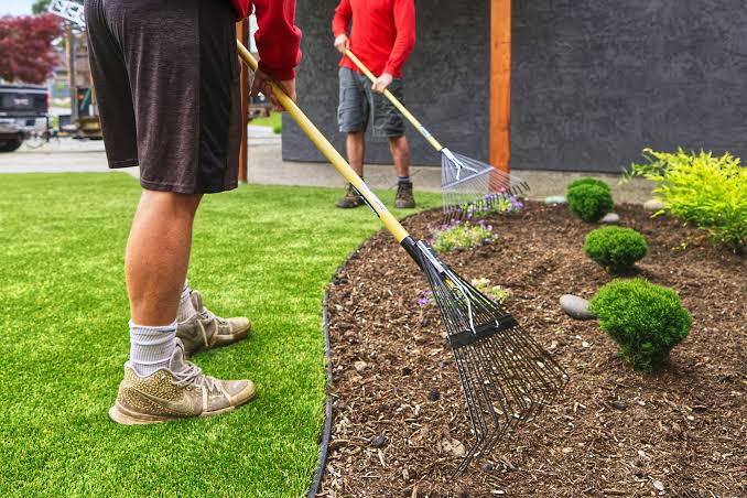 Commercial Building Surroundings Care
